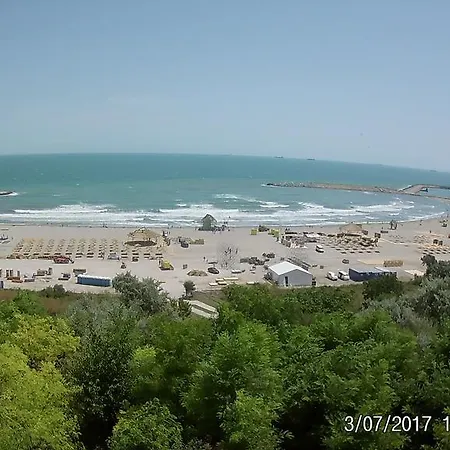 Nicoleta 康斯坦察